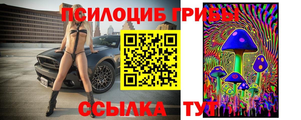 Галлюциногенные грибы Cubensis Петрозаводск