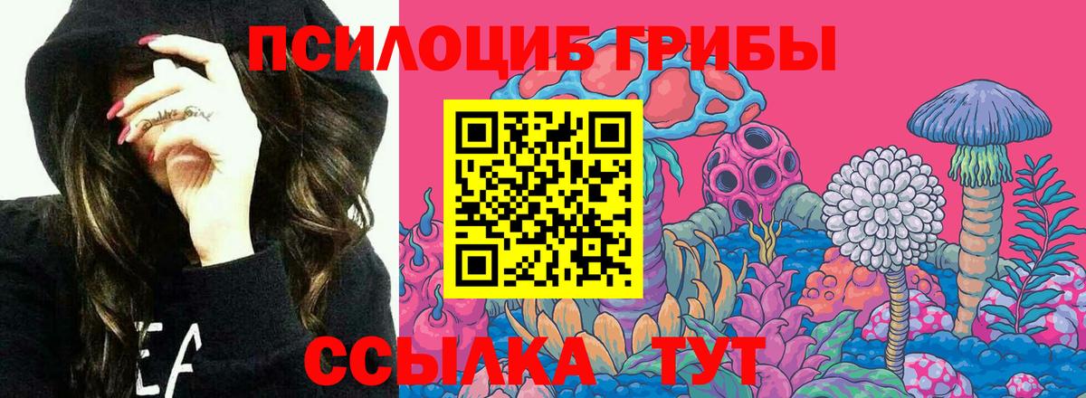 Меф   НБОМе  Петрозаводск  ГЕРОИН  ГАШ  Cocaine  Каннабис  Вход с VPN 