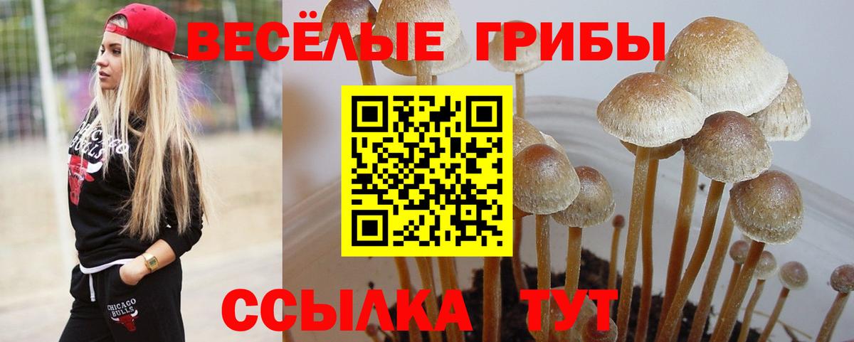 Петрозаводск  Псилоцибиновые грибы GOLDEN TEACHER  Вход с VPN 